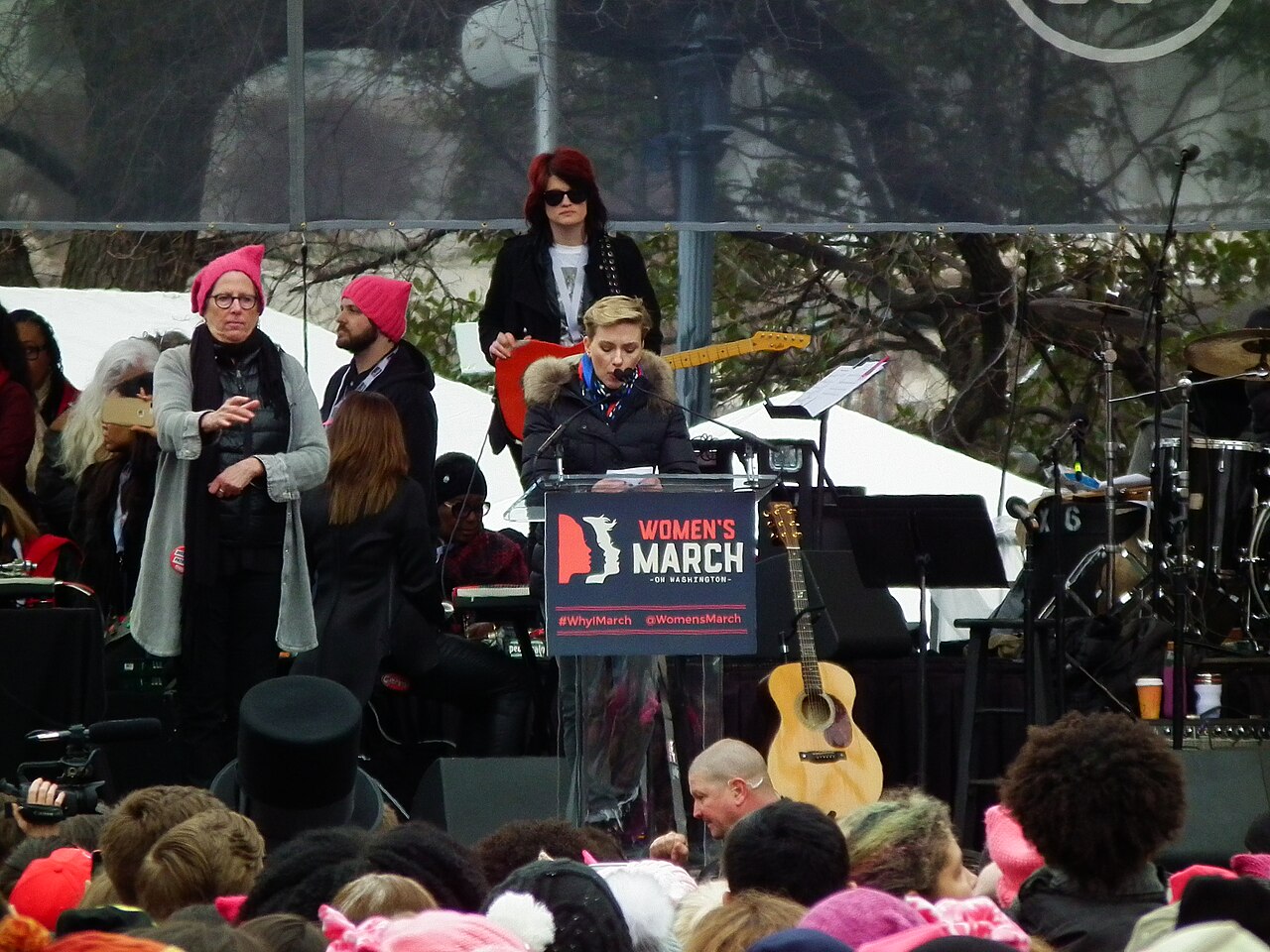 Women's March - Washington DC 2017 (32203927810)