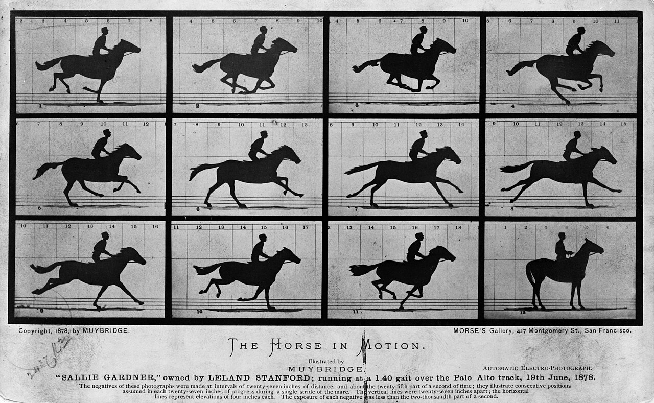 Sallie Gardner au galop