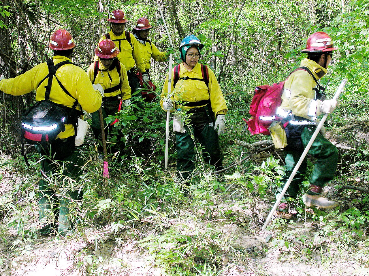 Workers Search for Columbia's Debris - GPN-2003-00082