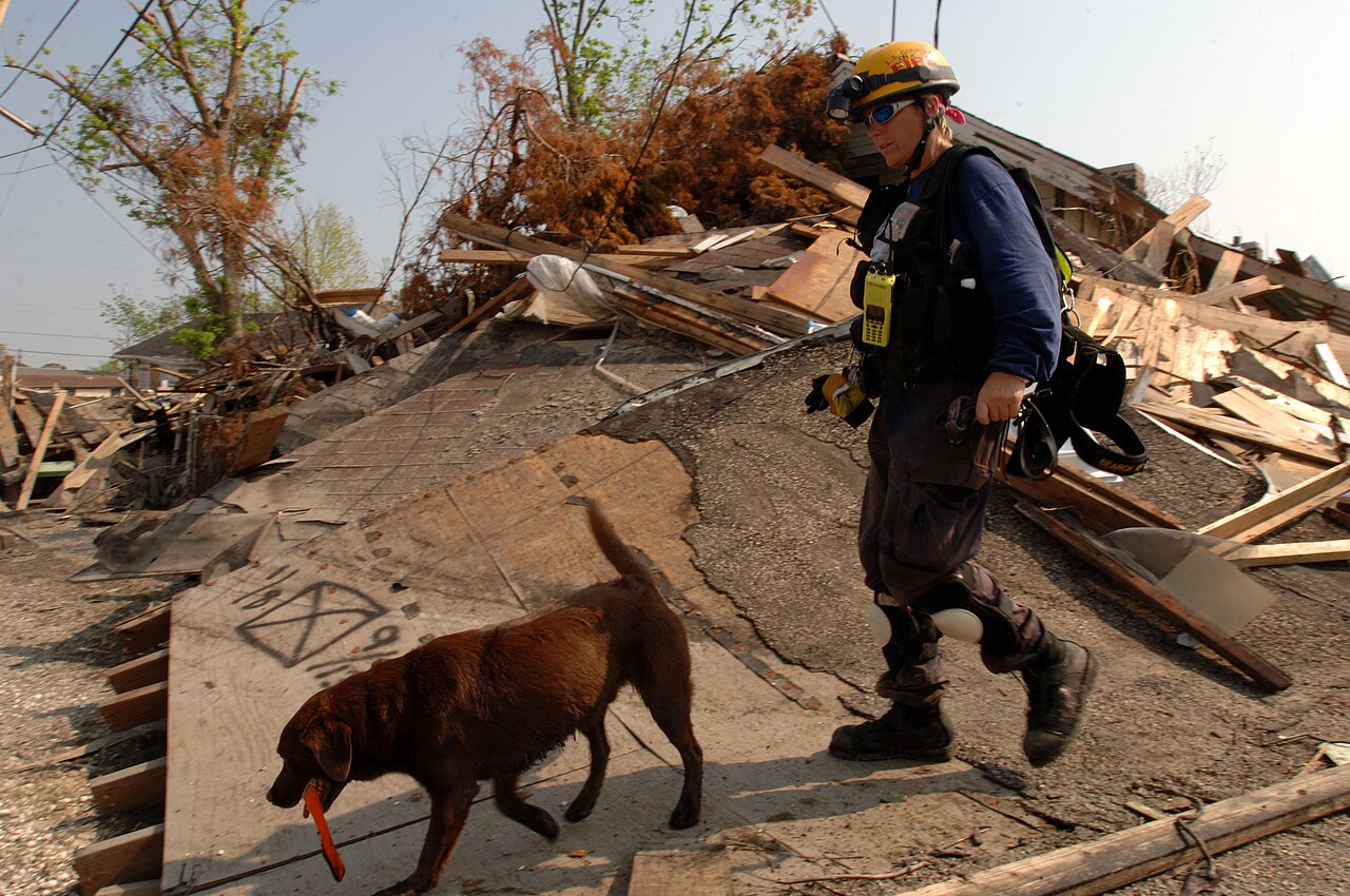 FEMA - 17638 - Photograph by Jocelyn Augustino taken on 09-19-2005 in Louisiana